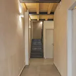 Pave Konukevi *