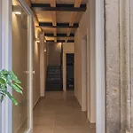 Pave Viterbo